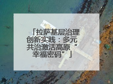 拉萨基层治理创新实践：多元共治激活高原“幸福密码”