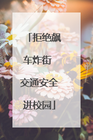 拒绝飙车炸街 交通安全进校园