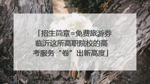 招生简章=免费旅游券 临沂这所高职院校的高考服务“卷”出新高度