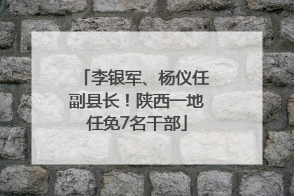 李银军、杨仪任副县长！陕西一地任免7名干部