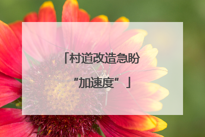 村道改造急盼“加速度”