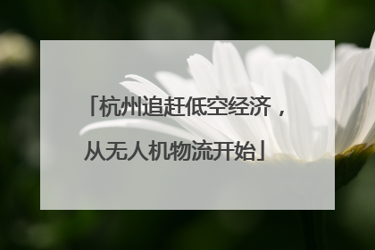 杭州追赶低空经济，从无人机物流开始