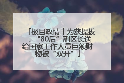极目政情丨为获提拔，“80后”副区长送给国家工作人员巨额财物被“双开”