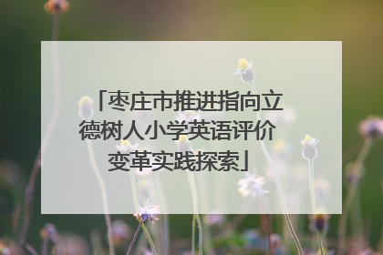 枣庄市推进指向立德树人小学英语评价变革实践探索