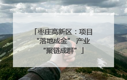 枣庄高新区：项目“落地成金” 产业“聚链成群”