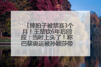 摔拍子被禁赛3个月！王楚钦6年后回应：当时上头了！称巴黎奥运被孙颖莎带着打，搭档8年“一个眼神就能懂”