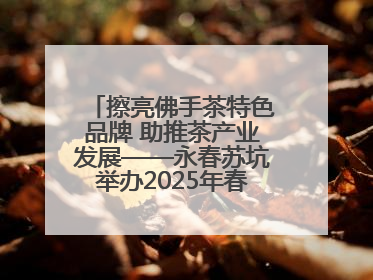 擦亮佛手茶特色品牌 助推茶产业发展——永春苏坑举办2025年春季佛手茶王赛