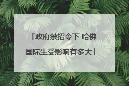 政府禁招令下 哈佛国际生受影响有多大