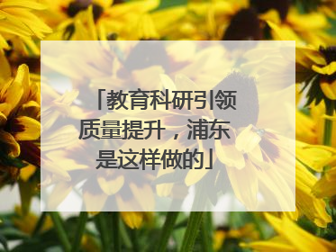 教育科研引领质量提升，浦东是这样做的