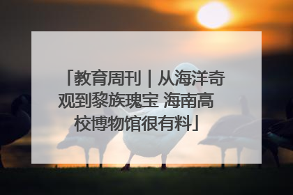 教育周刊｜从海洋奇观到黎族瑰宝 海南高校博物馆很有料