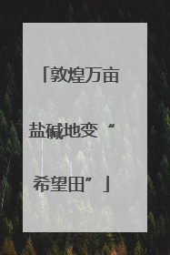 敦煌万亩盐碱地变“希望田”