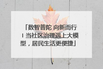 数智普陀 向新而行〡当社区治理遇上大模型，居民生活更便捷