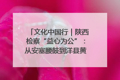 文化中国行｜陕西检察“益心为公”：从安塞腰鼓到洋县黄酒的非遗守护