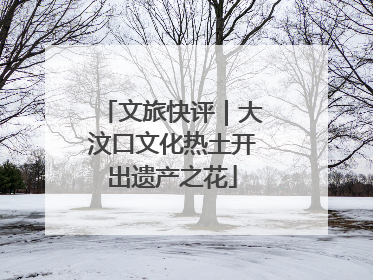 文旅快评｜大汶口文化热土开出遗产之花