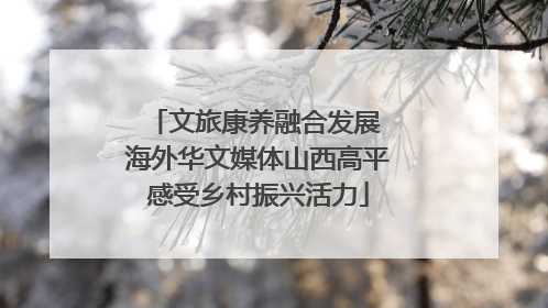 文旅康养融合发展 海外华文媒体山西高平感受乡村振兴活力