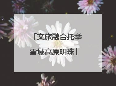 文旅融合托举雪域高原明珠