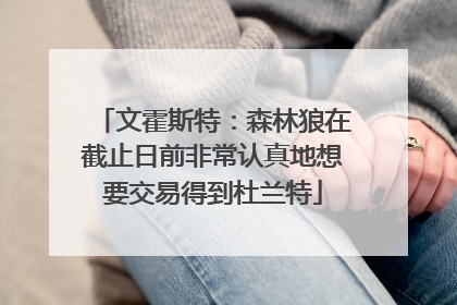 文霍斯特：森林狼在截止日前非常认真地想要交易得到杜兰特