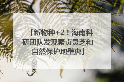 新物种+2！海南科研团队发现素贞灵芝和自然保护地壁虎