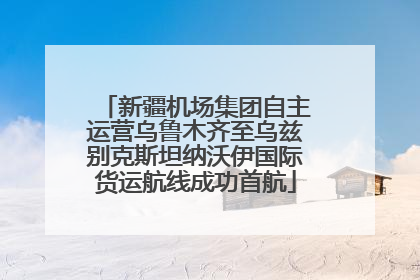 新疆机场集团自主运营乌鲁木齐至乌兹别克斯坦纳沃伊国际货运航线成功首航