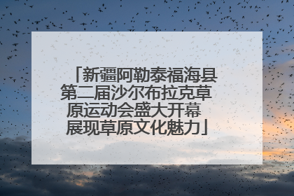 新疆阿勒泰福海县第二届沙尔布拉克草原运动会盛大开幕 展现草原文化魅力