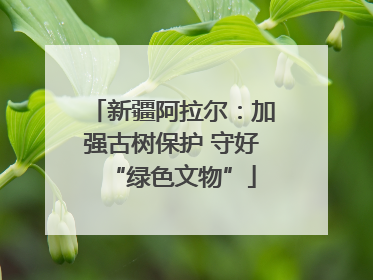 新疆阿拉尔：加强古树保护 守好“绿色文物”
