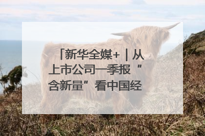 新华全媒+｜从上市公司一季报“含新量”看中国经济发展向“新”