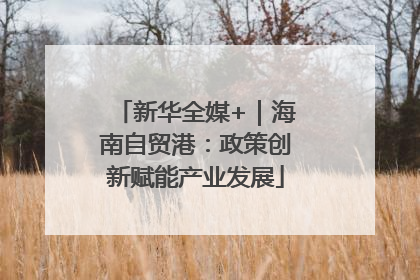新华全媒+｜海南自贸港：政策创新赋能产业发展