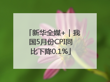 新华全媒+｜我国5月份CPI同比下降0.1%