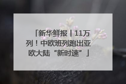新华鲜报丨11万列！中欧班列跑出亚欧大陆“新时速”