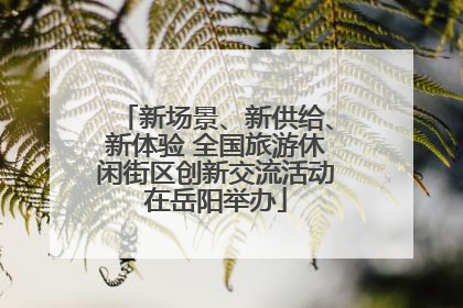 新场景、新供给、新体验 全国旅游休闲街区创新交流活动在岳阳举办