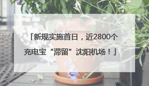 新规实施首日，近2800个充电宝“滞留”沈阳机场！
