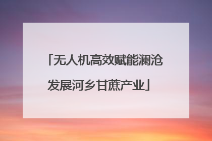 无人机高效赋能澜沧发展河乡甘蔗产业