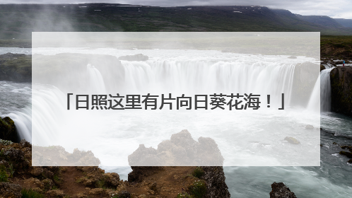 日照这里有片向日葵花海！