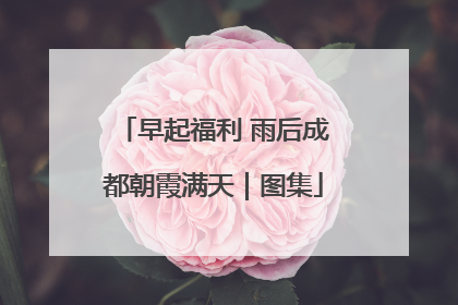 早起福利 雨后成都朝霞满天｜图集