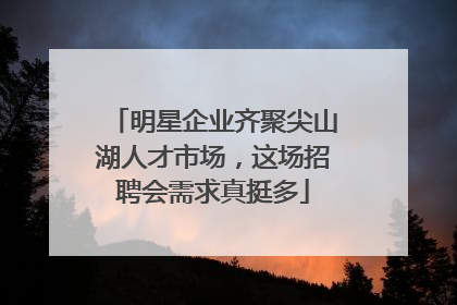 明星企业齐聚尖山湖人才市场，这场招聘会需求真挺多