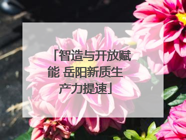 智造与开放赋能 岳阳新质生产力提速