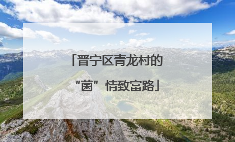 晋宁区青龙村的“菌”情致富路