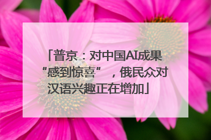 普京：对中国AI成果“感到惊喜”，俄民众对汉语兴趣正在增加