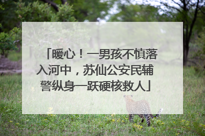 暖心！一男孩不慎落入河中，苏仙公安民辅警纵身一跃硬核救人