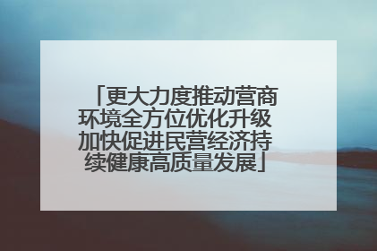 更大力度推动营商环境全方位优化升级加快促进民营经济持续健康高质量发展