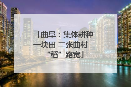 曲阜：集体耕种一块田 二张曲村“稻”路宽