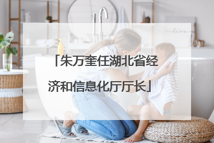 朱万奎任湖北省经济和信息化厅厅长