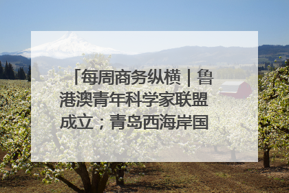 每周商务纵横｜鲁港澳青年科学家联盟成立；青岛西海岸国际能源自贸港启用