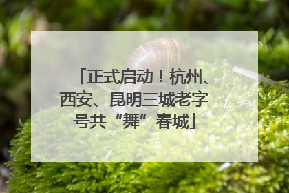 正式启动！杭州、西安、昆明三城老字号共“舞”春城