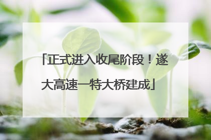 正式进入收尾阶段！遂大高速一特大桥建成