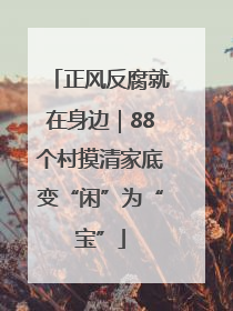 正风反腐就在身边｜88个村摸清家底变“闲”为“宝”