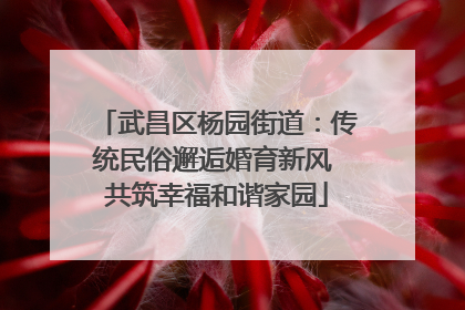 武昌区杨园街道：传统民俗邂逅婚育新风 共筑幸福和谐家园