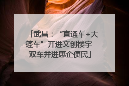 武昌：“直通车+大篷车”开进文创楼宇 双车并进惠企便民