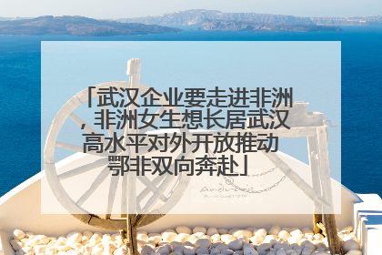 武汉企业要走进非洲，非洲女生想长居武汉 高水平对外开放推动鄂非双向奔赴