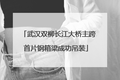 武汉双柳长江大桥主跨首片钢箱梁成功吊装